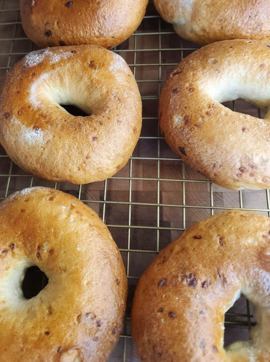 Gluten Free, Vegan Onion Bagel- Half Dozen